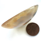 Deeper SALE $2.00,  Horn 1-7/8" Semi-Clear Scoop with Dots, No Two Alike