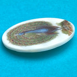 Peacock Mother of Pearl Button by Susan Clarke, 1-3/8"  #1650
