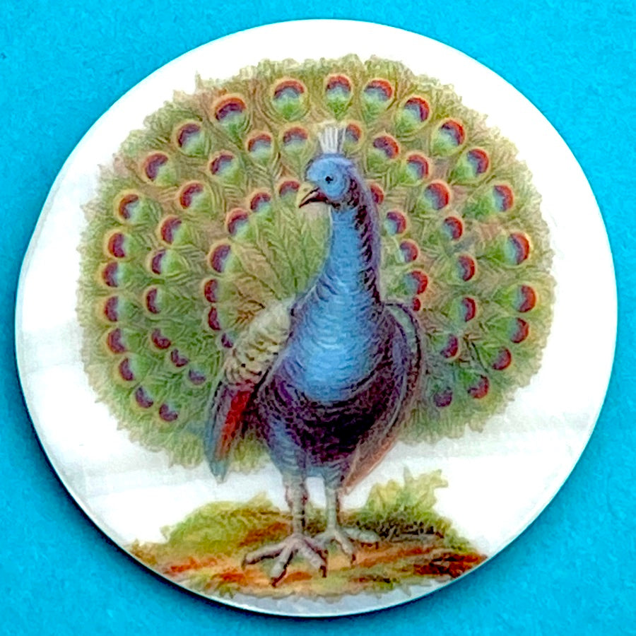 Wholesale Creative DIY Peacock Pattern Resin Button Art 