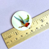 Colorful Bird Mother of Pearl Hand Made Button, 1-3/8"