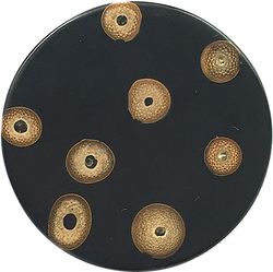 Black/Tan Bamboo Natural Dots Button 1-1/8".  #0600