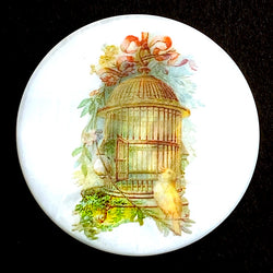Birdcage Mother of Pearl Button by Susan Clarke, 1-3/8"  #1659