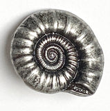 Nautilus Shell Button, Silver Metal Shank Back 15/16" #SK-866