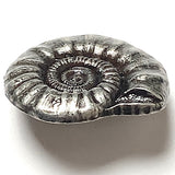 Nautilus Shell Button, Silver Metal Shank Back 15/16" #SK-866