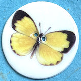 SALE, Yellow Butterfly Button, Larger Size, 2 Holes, Handmade Porcelain, 1.5" by Kate Holliday, UK.