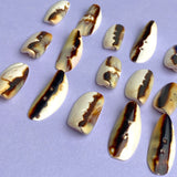 Fifteen REAL Shell Coffee Stripe 2 Hole Toggle Buttons, 1"  #LP-15
