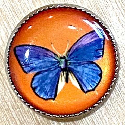 LAST Butterfly Crystal Dome Button 3/4" Bright Blue/Orange, 18mm Metal Shank Back #WD57