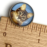 Last Ones, Cat Portrait, Tabby Kitty on Blue 18mm Winky and Dutch 3/4" Shank Back Button