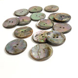 Classic Rainbow-Kissed Abalone Neutrals, 1" Two-Hole Button 25mm  Pack of SIX  #KB-924