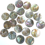 Classic Rainbow-Kissed Abalone Neutrals, 1" Two-Hole Button 25mm  Pack of SIX  #KB-924