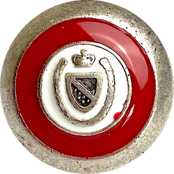 Shield/Crown/Horse Shoe Button, 5/8" Silver, Red, White Metal, Shank Back  15mm #SK-1954