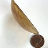DEEPER SALE Squiggles Large Scoop Horn Semi-Clear 1-7/8" ONLY $2.00 EACH