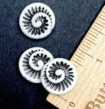 Black + White Ammonite Swirl, Czech Glass Opaque Beads 11/16" / 18mm, Pack of 6 Beads  #L-340