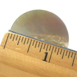 SALE $3.00 EACH Natural Iridescent Mother of Pearl 1-3/8" 2-hole Button 34mm. #480010-D