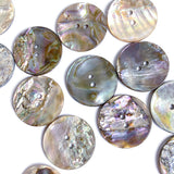 Rainbow and Earth Abalone 1" Two-Hole Button 25mm  #KB-924
