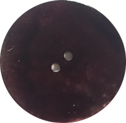 Shell Buttons – The Button Bird