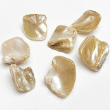 Seven Lumpy Bumpy Glowing Extremely Natural Ultra Real Shell Buttons Approx. 3/4" #LP-55