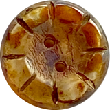 LAST ONES: Rustic Clear Amber Czech Glass Sunray Flower, 2 hole button 14mm / 9/16"  #L-977