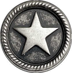 Roped Star Button, 15/16" Silver Texas Star Metal 23mm, Shank Back  #FJ-119