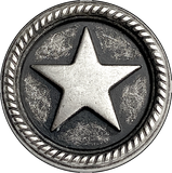 Roped Star Button, 15/16" Silver Texas Star Metal 23mm, Shank Back  #FJ-119