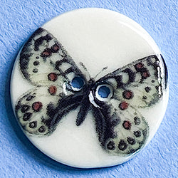 Black, White, Brown Spots Butterfly 7/8"  Porcelain Button