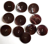CLOSEOUT SALE! $1 each.   1-3/16" Dark Brown Large Shiny MOP Shell 2-hole Button #470016