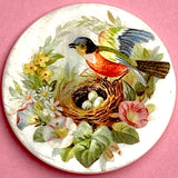 Restocked, Bird at Nest with Three Eggs Mother of Pearl Button by Susan Clarke, 1-3/8"