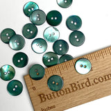 Re-Stocked, Green 9/16" Trochus Shell Buttons, TWENTY for $8.75  #KB904