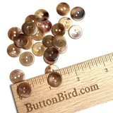 Semi-Clear Brown Melange Shell Button from Japan, 1/2", NINETEEN for $7.50  #KB-913