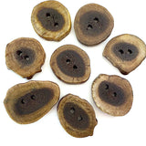Deeper SALE Genuine Antler Buttons 1" Natural Brown Cross-Cut   #SW-204