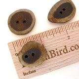 Deeper SALE Genuine Antler Buttons 1" Natural Brown Cross-Cut   #SW-204
