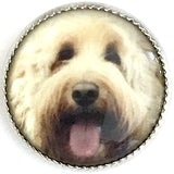LAST ONE Labradoodle Dog Winky and Dutch 18mm Button 3/4"