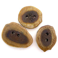 Deeper SALE Genuine Antler Buttons 1" Natural Brown Cross-Cut   #SW-204