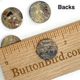 Bronze Iridescent Brown 11/16" Pearl Shell 2-hole Button, Pack of 4   #960-D