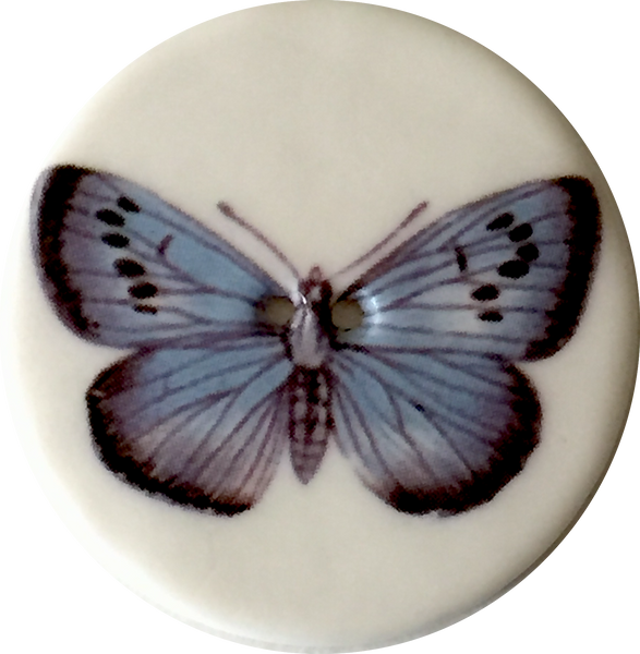 Blue Butterfly Porcelain Button 1-1/8"