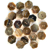 Chocolate Brown Flower 9/16" Shiny Mussel Shell 2-Hole Button, NINE for $15.00.  #23-125-9