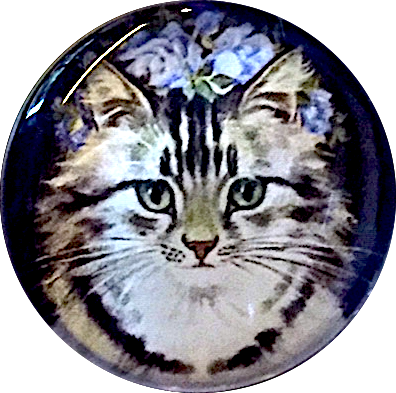 Long Haired Tabby Cat Domed Crystal Button 1"