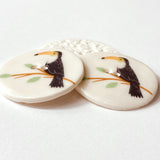 Toucan Large Handmade Porcelain Button 1-1/2"