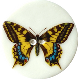 Tiger Swallowtail Butterfly Large Handmade Porcelain Button 1-1/2"