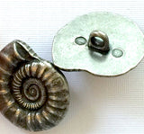 Silver/Black Metal Nautilus Shell Button 15/16",  Shank back. #866