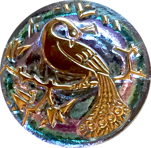 Aqua Pink + Gold Peacock Czech Glass Button, 22mm  7/8" # CZ 249