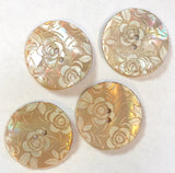 Golden Shell, White Roses Button, 15mm  5/8"