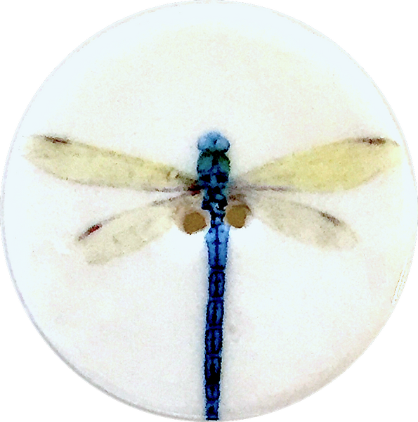 Dragonfly Large 1-1/2" Porcelain Button