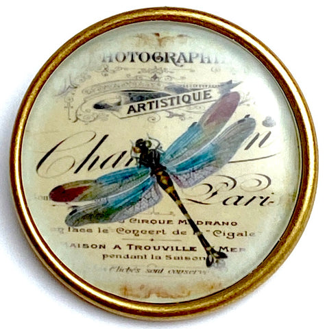 Dragonfly, Paris Crystal Dome Button 1.25" by Susan Clarke # SC-1135