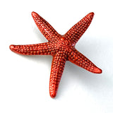 Starfish Button, Red, by Susan Clarke   .75"  # SC-631