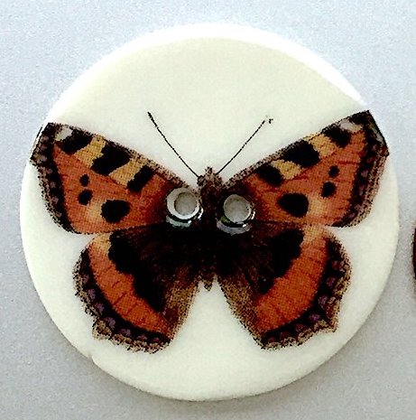 LAST ONE Orange & Black Butterfly Button Porcelain 1-1/8"