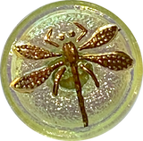 Iridescent Honeydew Dragonfly Czech Glass Button, 18mm  Almost 3/4" #CZ 018