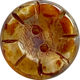 Rustic Amber Czech Glass Sunray Flower, 2 hole button 14mm/ 9/16"  #L-63977