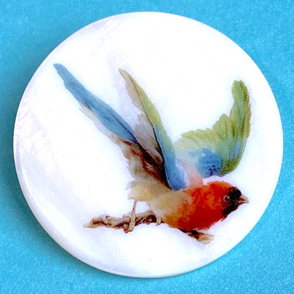 SALE Colorful Bird Mother of Pearl 1-3/8" Button, Susan Clarke USA, 1-3/8"