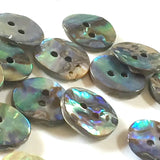 Greens & Blues Vivid Abalone 5/8" / 15mm, Pack of 8 for $11.20  #0034